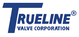nVent / RAYCHEM logo